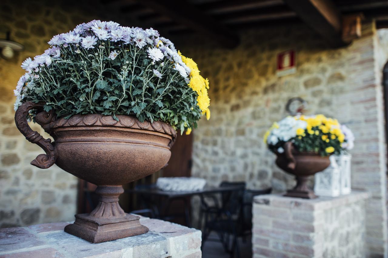 Borgo Del Faggio Apartment Montepulciano Ngoại thất bức ảnh